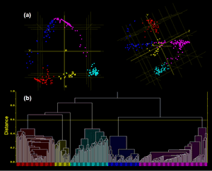 Analysis of structural phase distribution