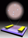 Schematic of a graphene transistor showing graphene (red), gold electrodes (yellow), silicon dioxide (clear) and silicon substrate (black). Inset shows the graphene lattice with vacancy defects. Vacancies (missing atoms) are shown surrounded by blue carbon atoms. Graphic by Jianhao Chen and Michael S. Fuhrer, University of Maryland.